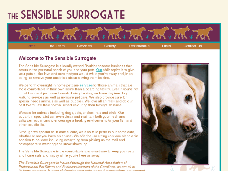 www.sensiblesurrogate.com