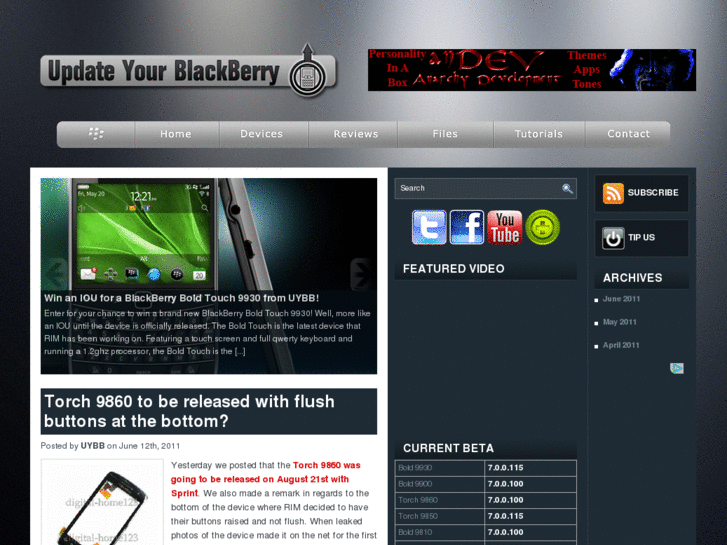www.updateyourblackberry.com