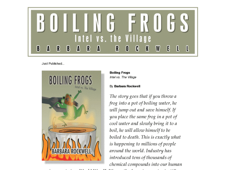 www.boilingfrogs-intelvsthevillage.com