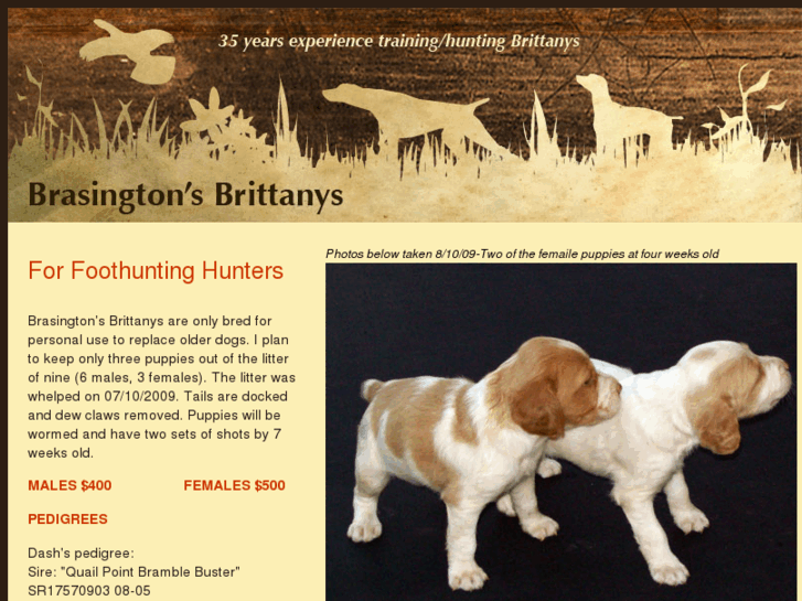 www.brasingtonsbrittanys.com