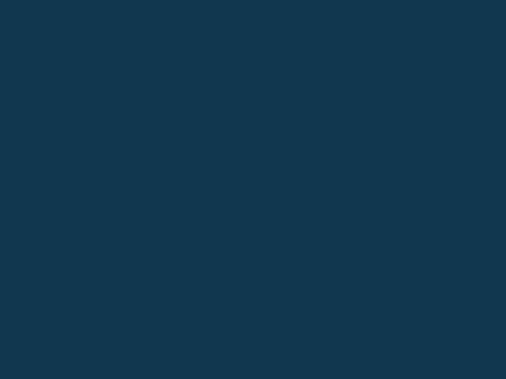 www.bridgesemiconductor.com