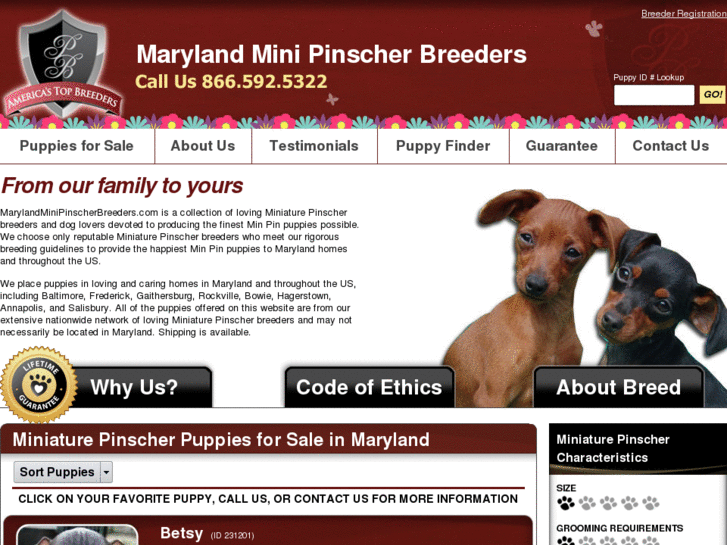 www.marylandminipinscherbreeders.com