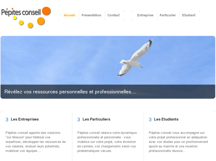 www.pepites-conseil.com