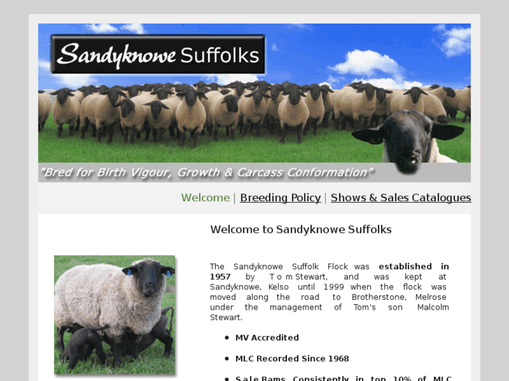 www.sandyknowesuffolks.com