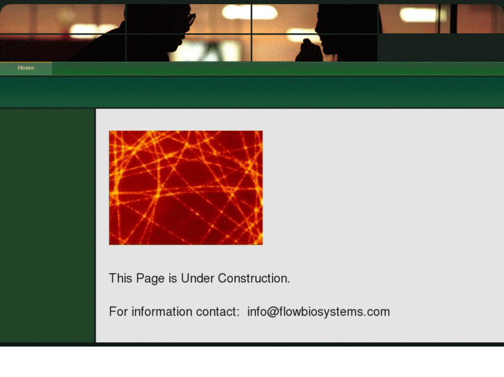 www.flowbiosystems.com