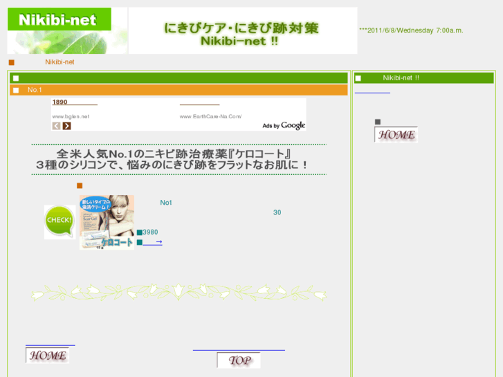 www.nikibi-net.net