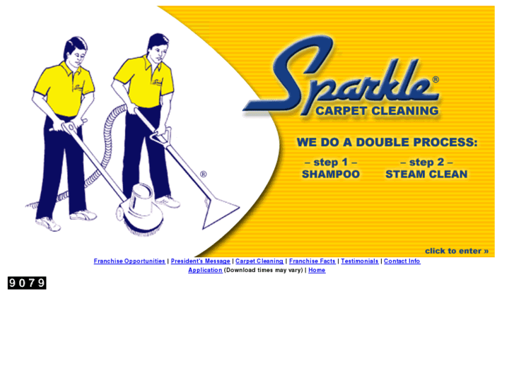 www.sparklecarpetcleaning.com