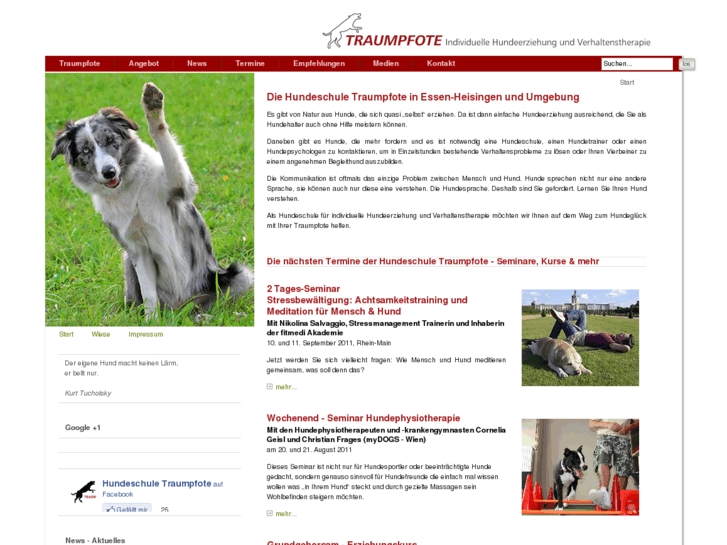 www.traumpfote.net