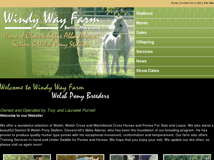 www.windywaywelshponies.com