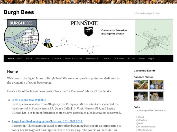 www.burghbees.com