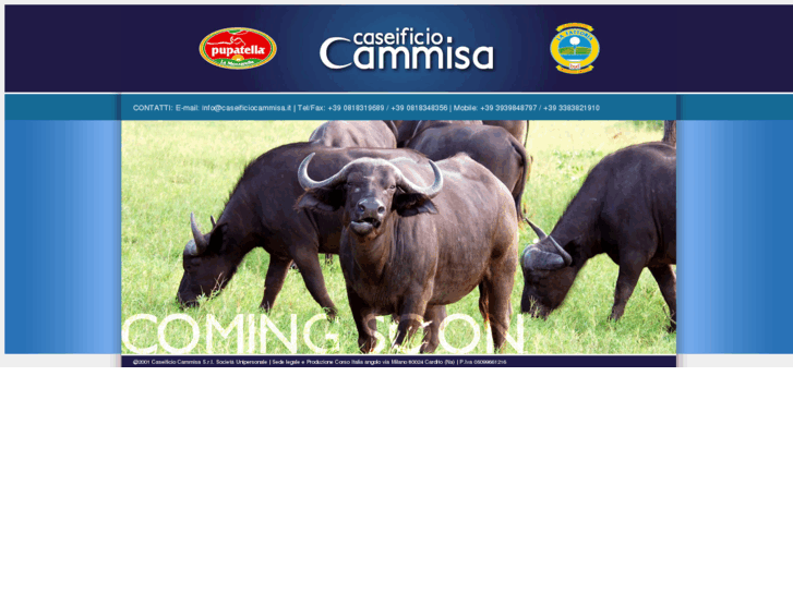 www.caseificiocammisa.com