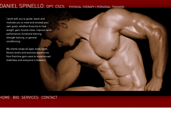 www.danspinello.com