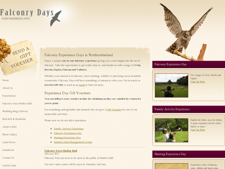 www.falconrydays.com