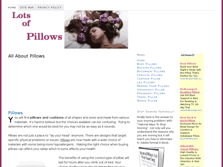 www.lotsofpillows.com