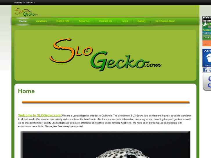 www.slogecko.com