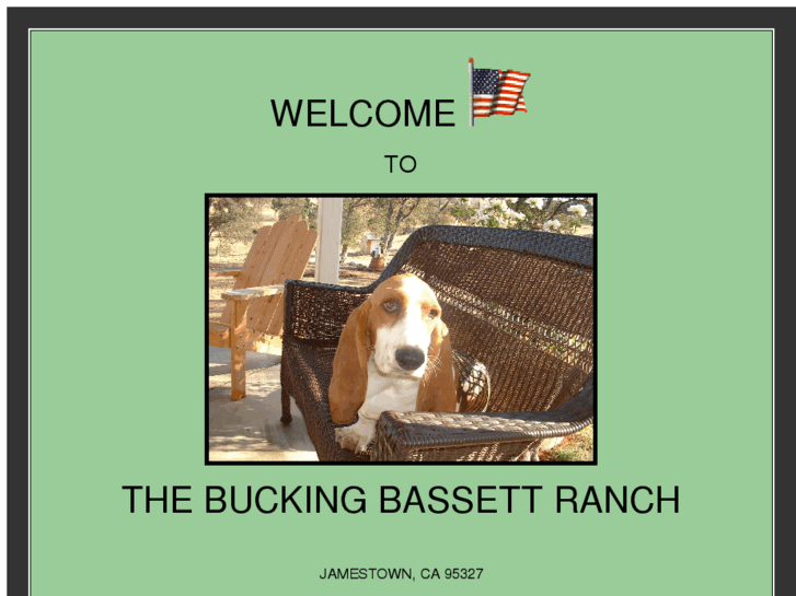 www.thebuckingbassettranch.com