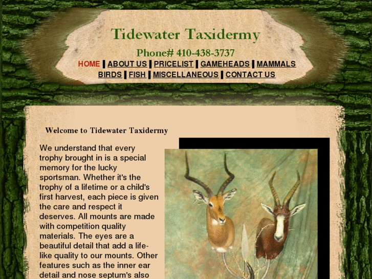 www.tidewatertaxidermy.com