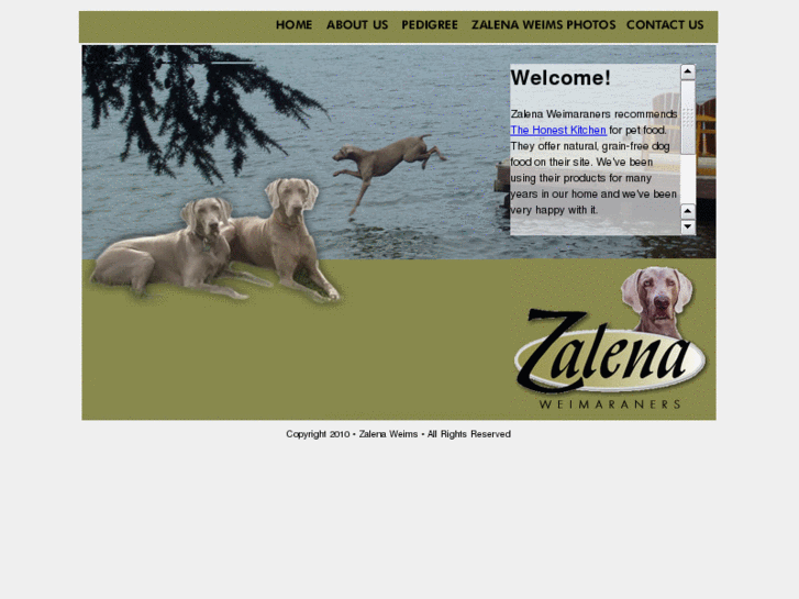 www.zalenaweims.com