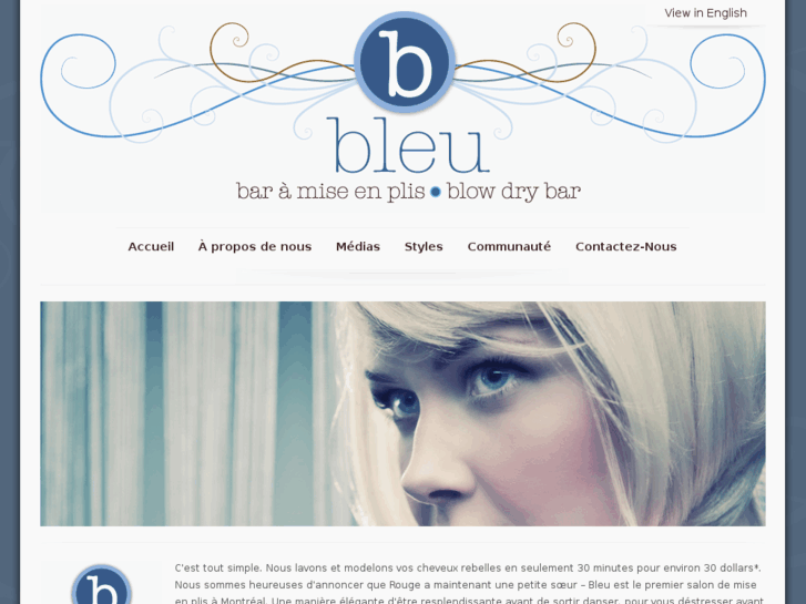 www.bleubaramiseenplis.com