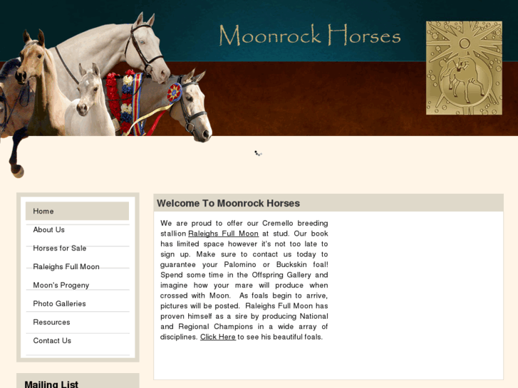 www.moonrockarabians.com