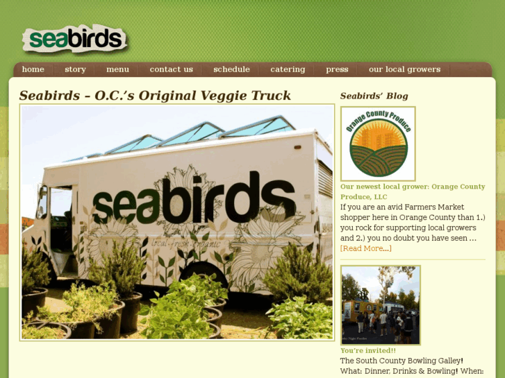 www.seabirdstruck.com