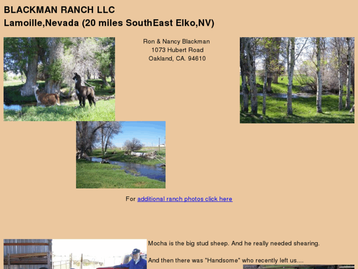 www.myranch.net