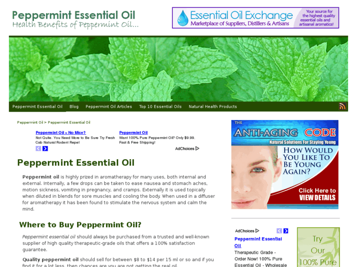 www.peppermint-essential-oil.com