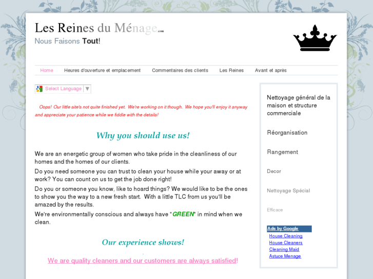 www.lesreinesdumenage.com