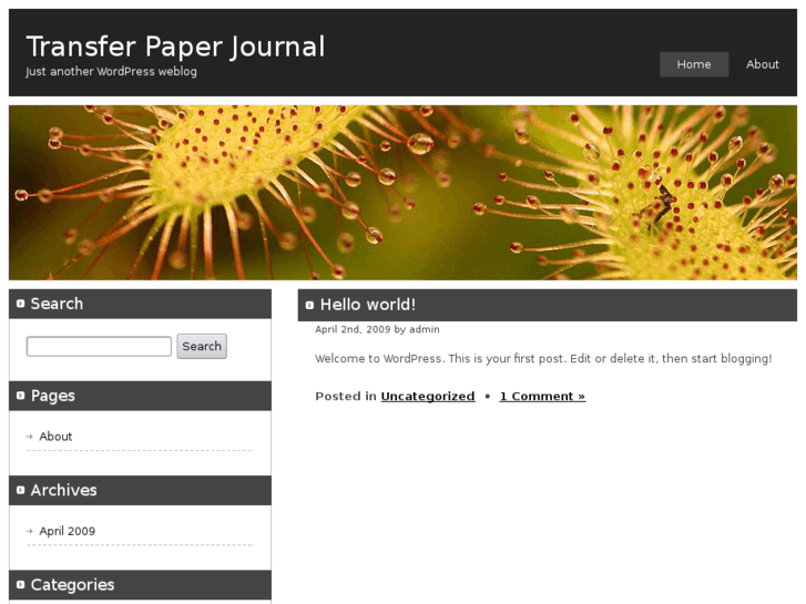 www.transfer-paper-journal.com