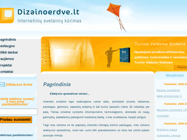 www.dizainoerdve.lt