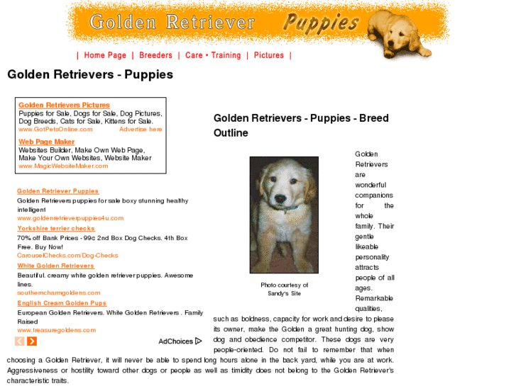 www.golden-retrievers-puppies.com