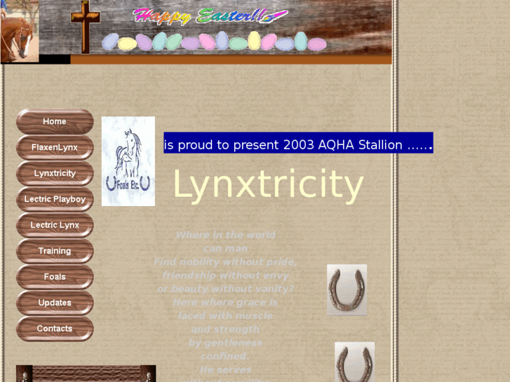 www.lynxtricity.com