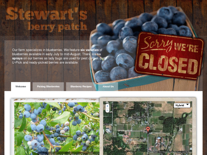 www.stewartsberrypatch.com