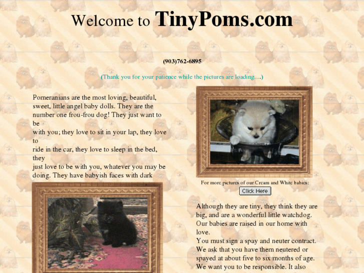 www.tinypoms.com