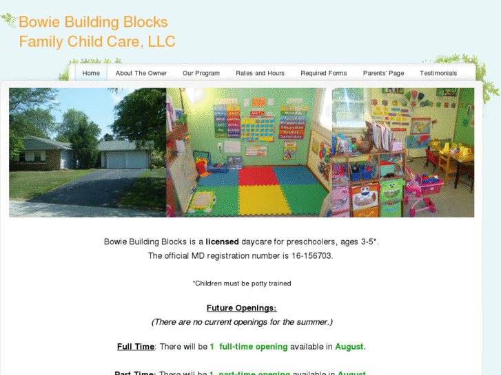 www.bowiebuildingblocks.com