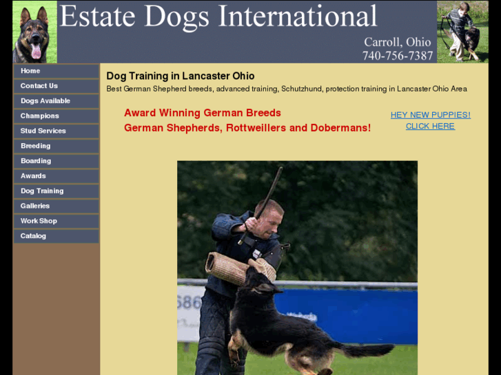 www.estatedogs.com