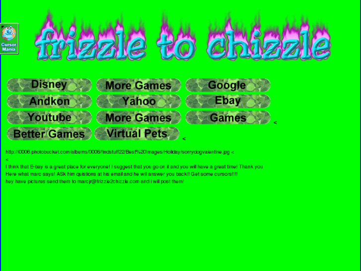 www.frizzle2chizzle.com