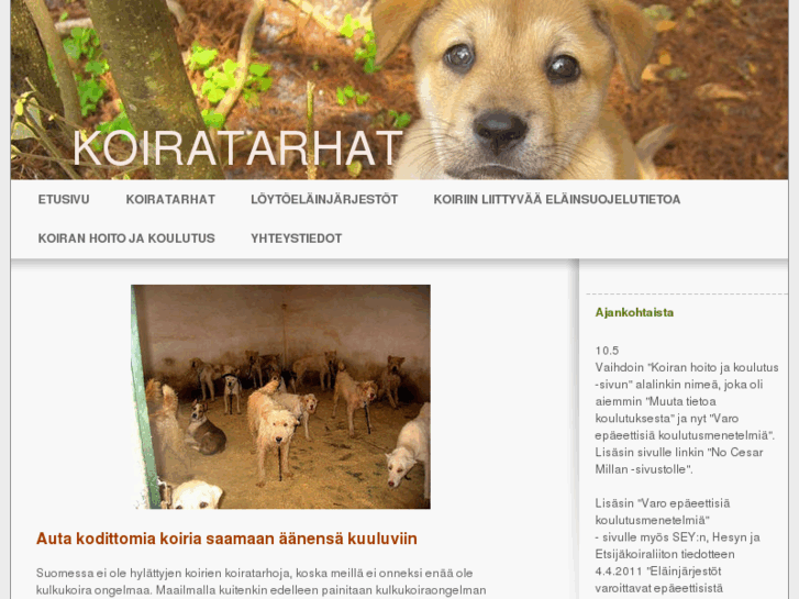 www.koiratarhat.com