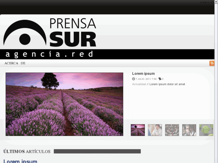 www.prensasur.net