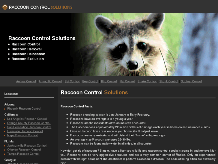 www.raccooncontrolsolutions.com