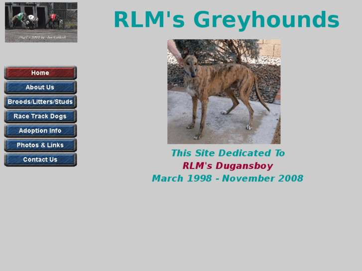 www.rlmsgreyhounds.com