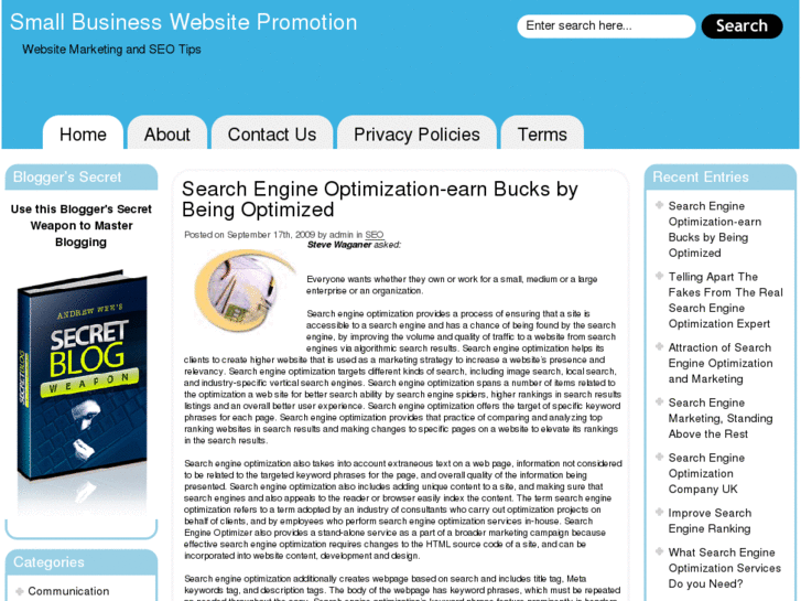www.smallbusinesswebsitepromotion.net