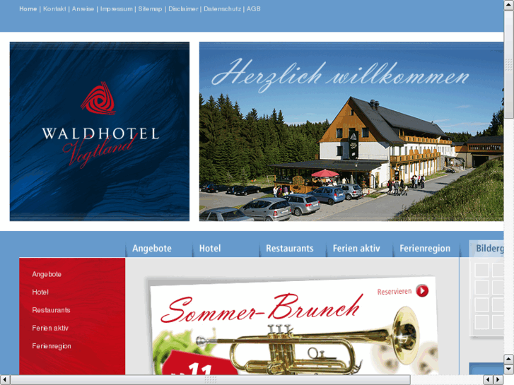 www.waldhotel-vogtland.de