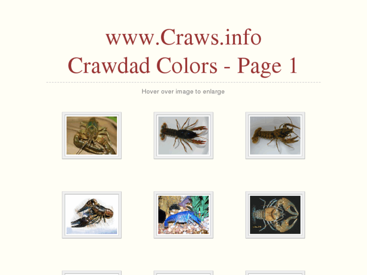 www.craws.info