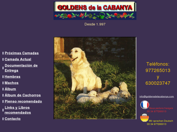 www.goldensdelacabanya.com