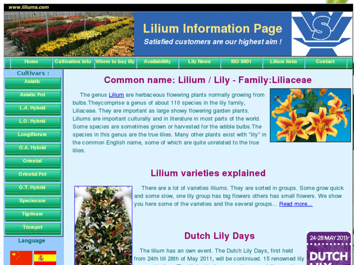 www.liliums.com