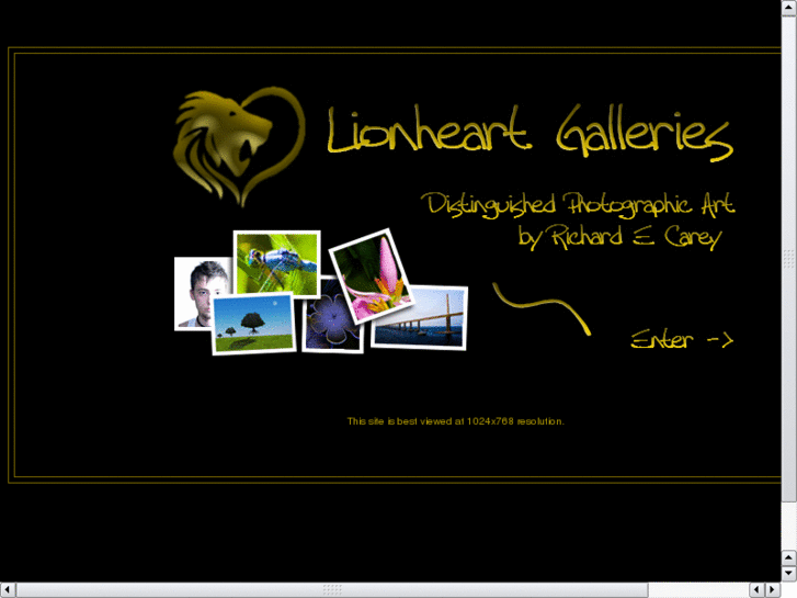 www.lionheartgalleries.com