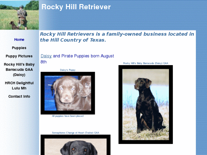 www.rockyhillretriever.com