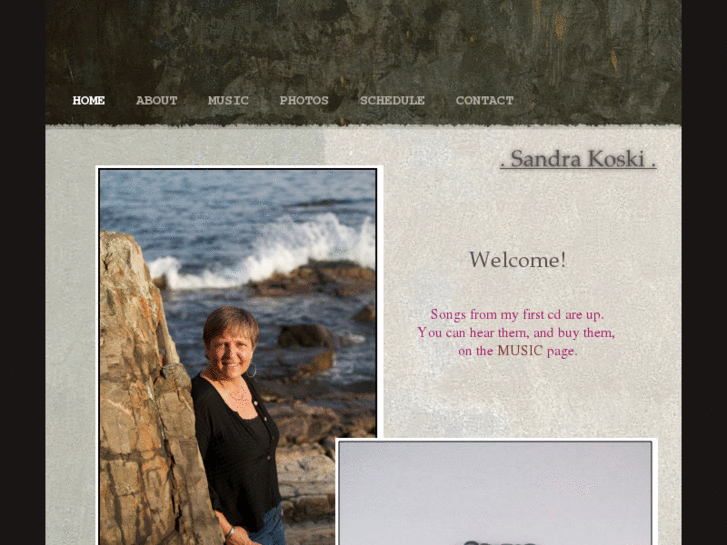 www.sandrakoski.com