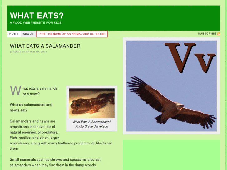 www.what-eats.com